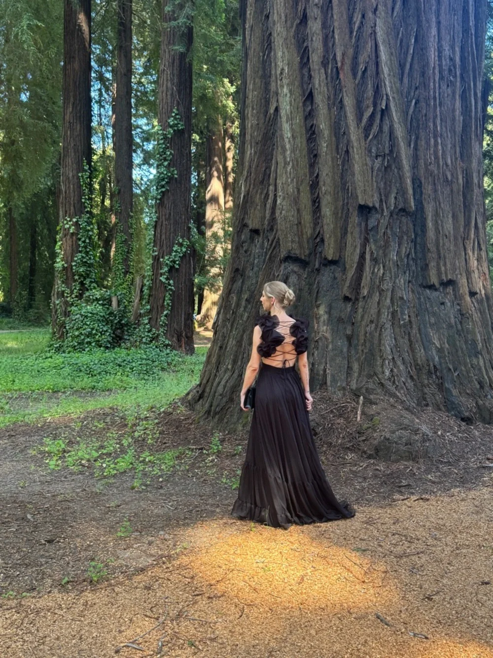 Mac Duggal Black Ruffle Sleeve Maxi Dress - Picture 6 of 6